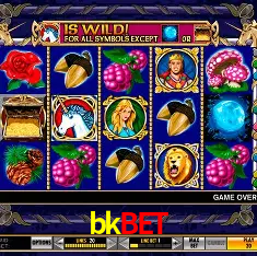 bkbet Salvador - Bonus Stats